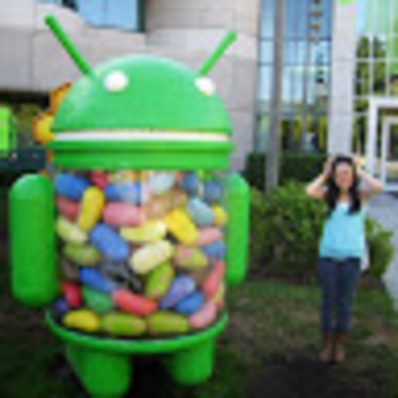 Meet your Posher, Amy - Picture 1 of 1